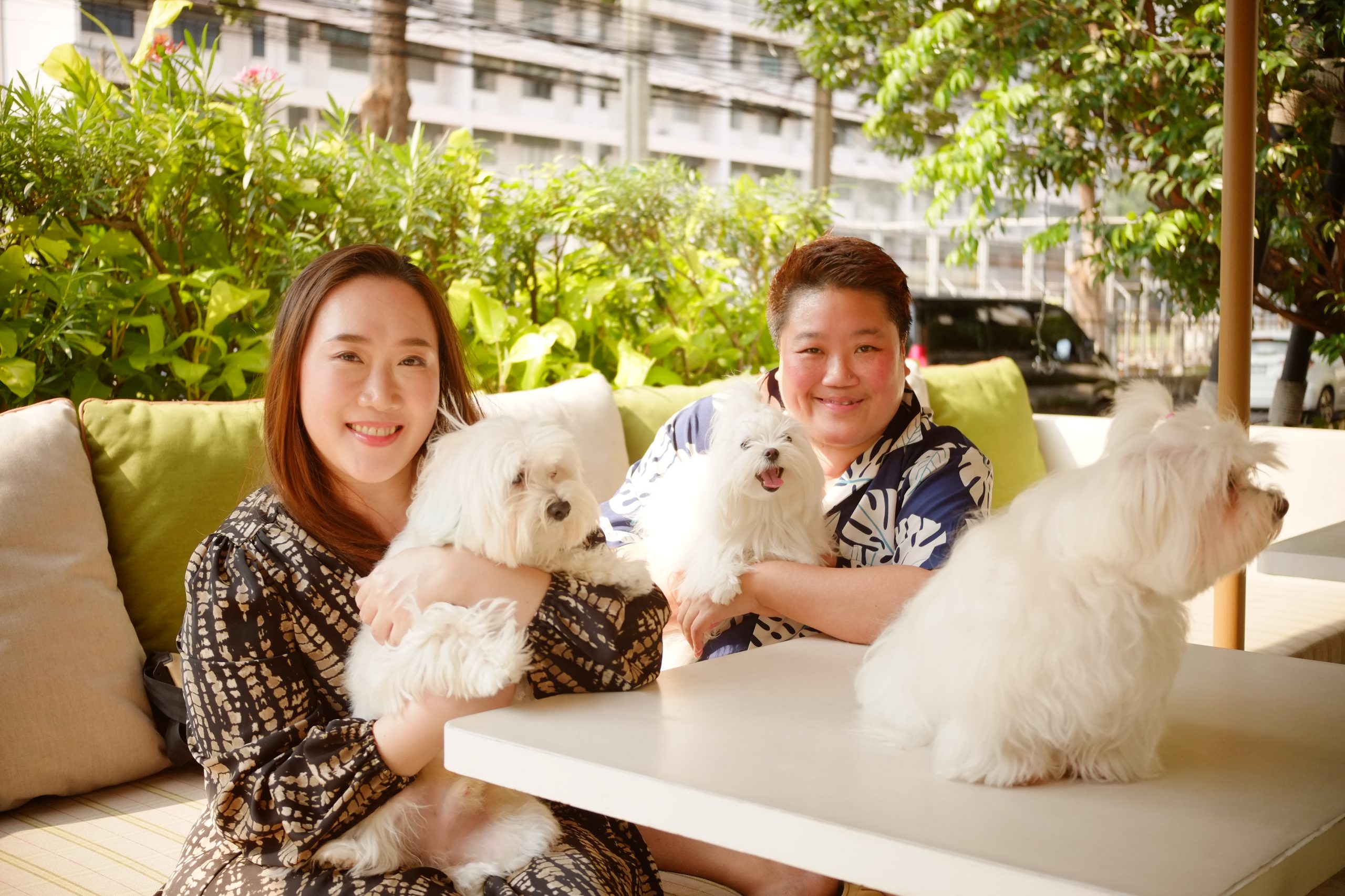 A HOME FOR ALL, PAWS INCLUDED